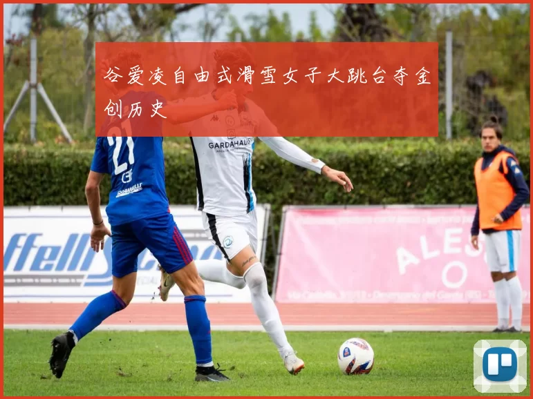 谷爱凌自由式滑雪女子大跳台夺金创历史